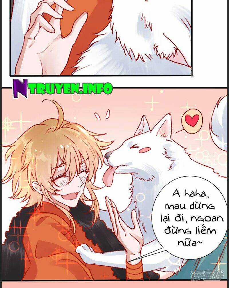 Hoàng Phi 9000 Tuổi - Chapter 35 - Trang 11