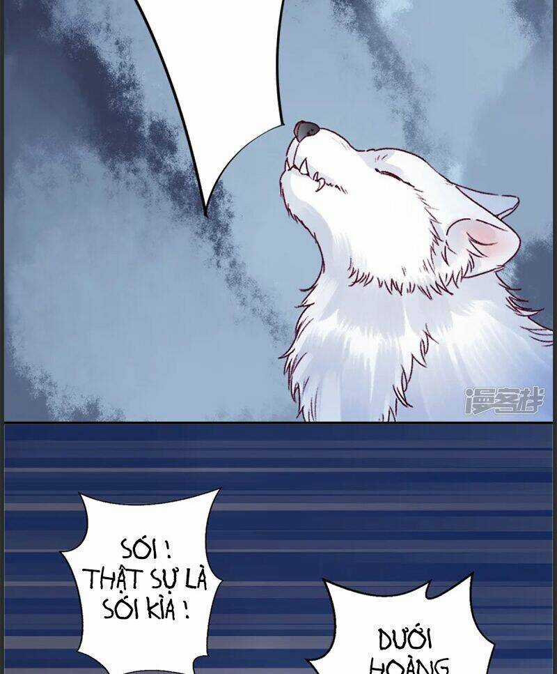 Hoàng Phi 9000 Tuổi - Chapter 35 - Trang 24