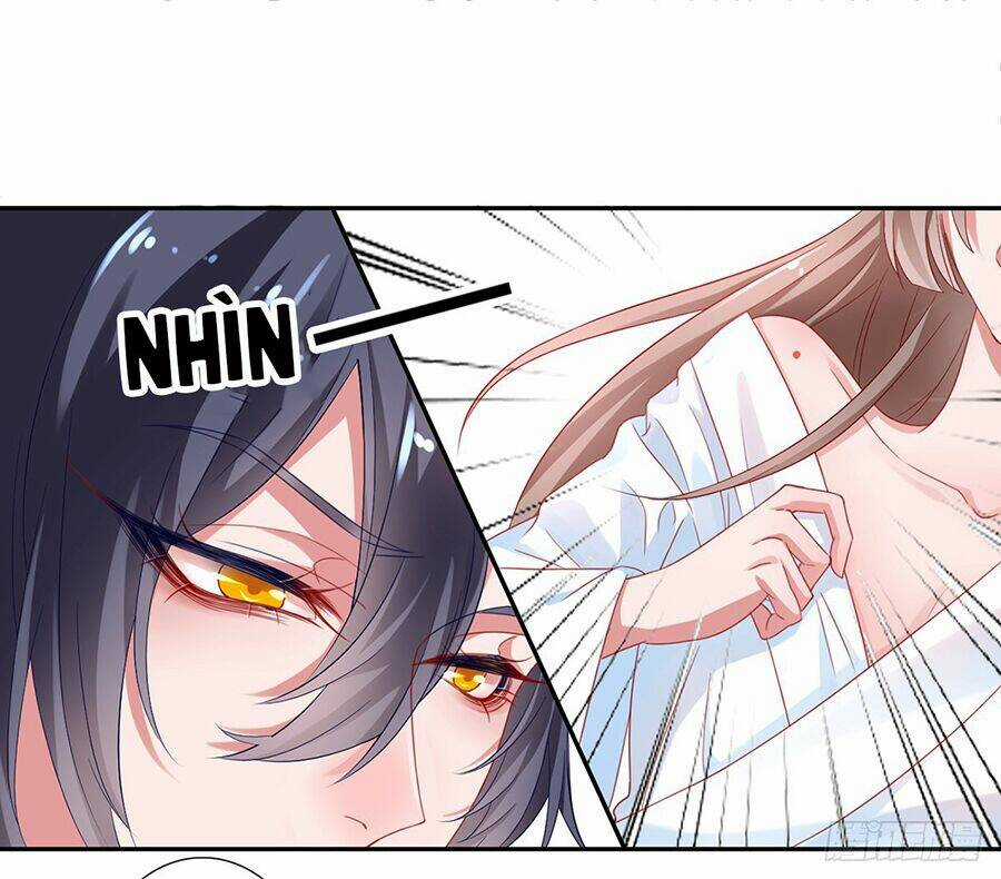 Hoàng Phi 9000 Tuổi - Chapter 4 - Trang 11