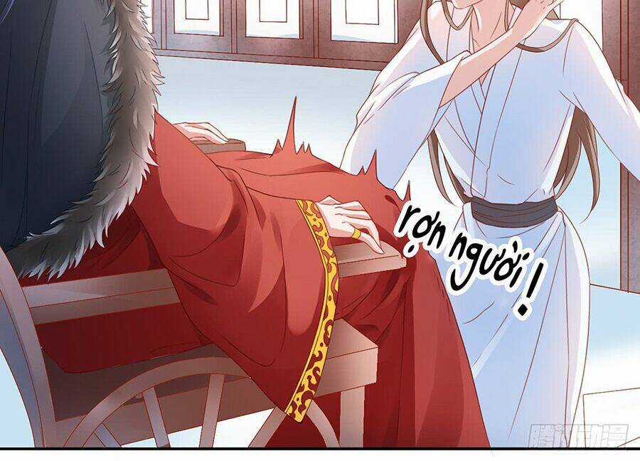 Hoàng Phi 9000 Tuổi - Chapter 4 - Trang 6