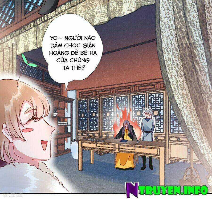 Hoàng Phi 9000 Tuổi - Chapter 41 - Trang 15