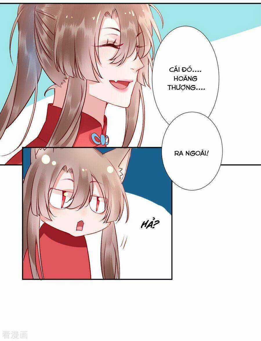 Hoàng Phi 9000 Tuổi - Chapter 41 - Trang 25