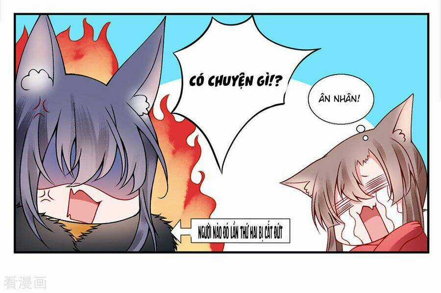 Hoàng Phi 9000 Tuổi - Chapter 44 - Trang 13