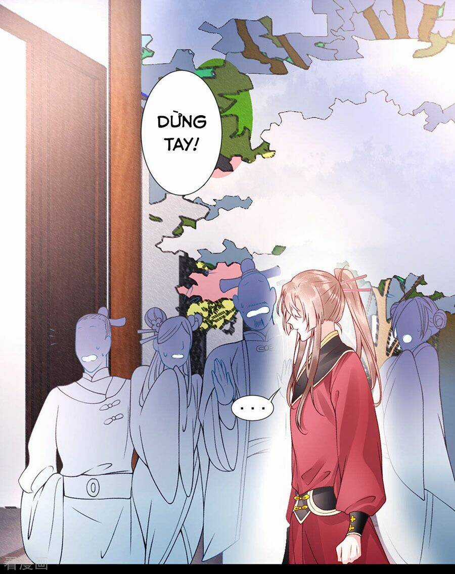 Hoàng Phi 9000 Tuổi - Chapter 45 - Trang 12