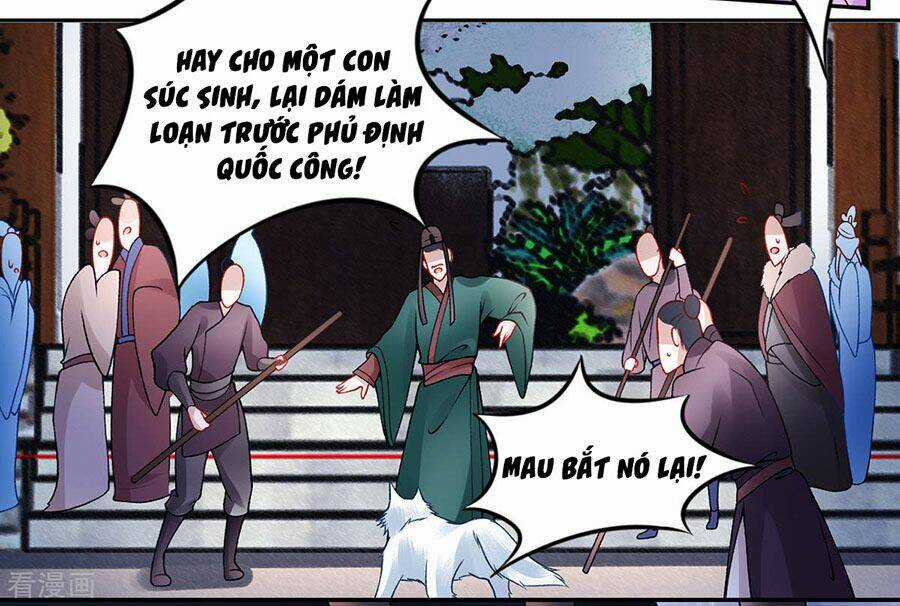 Hoàng Phi 9000 Tuổi - Chapter 45 - Trang 6