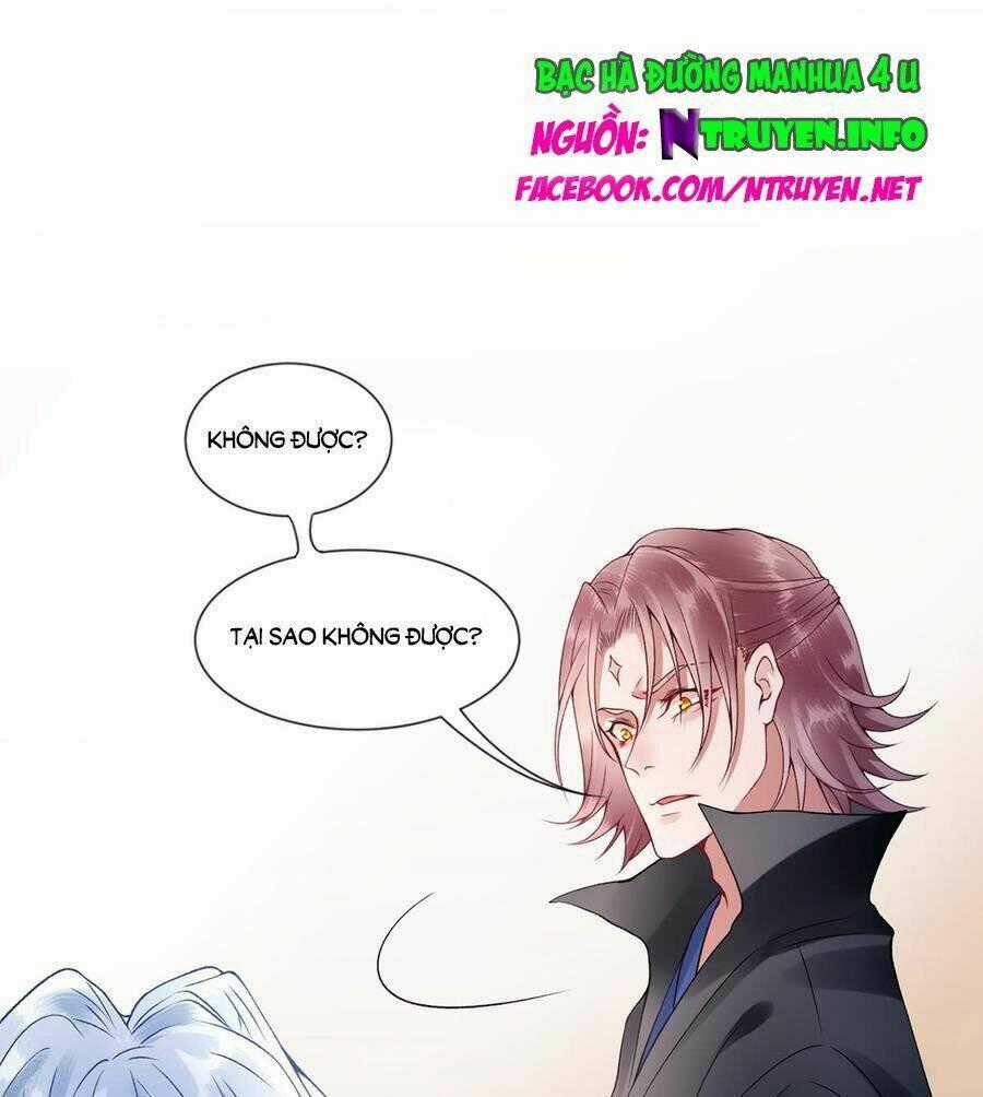 Hoàng Phi 9000 Tuổi - Chapter 51 - Trang 1