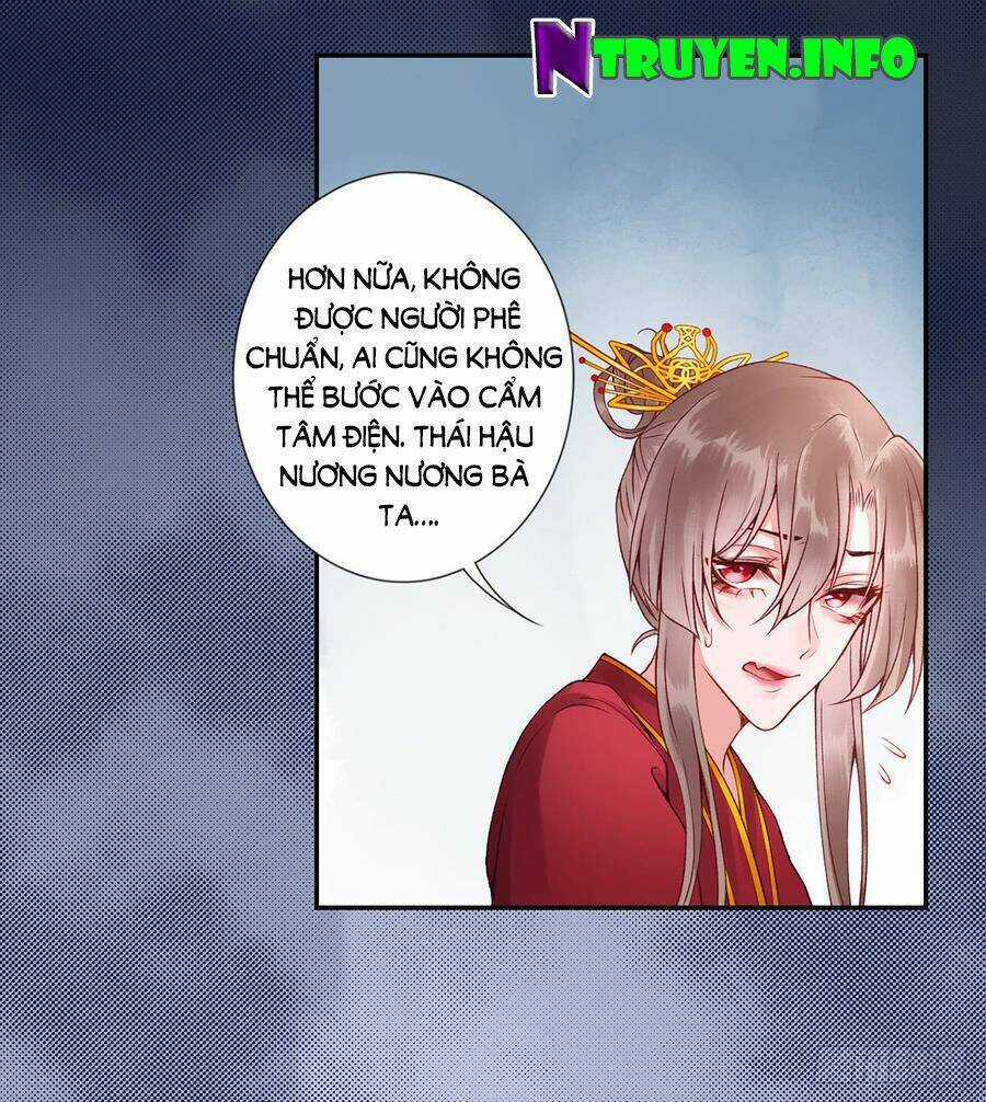 Hoàng Phi 9000 Tuổi - Chapter 52 - Trang 8