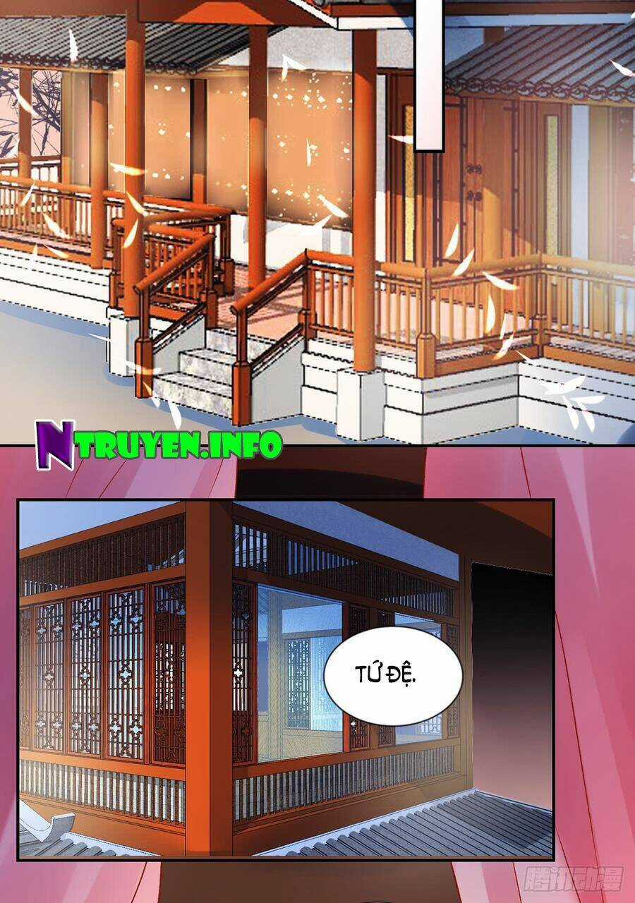 Hoàng Phi 9000 Tuổi - Chapter 53 - Trang 6