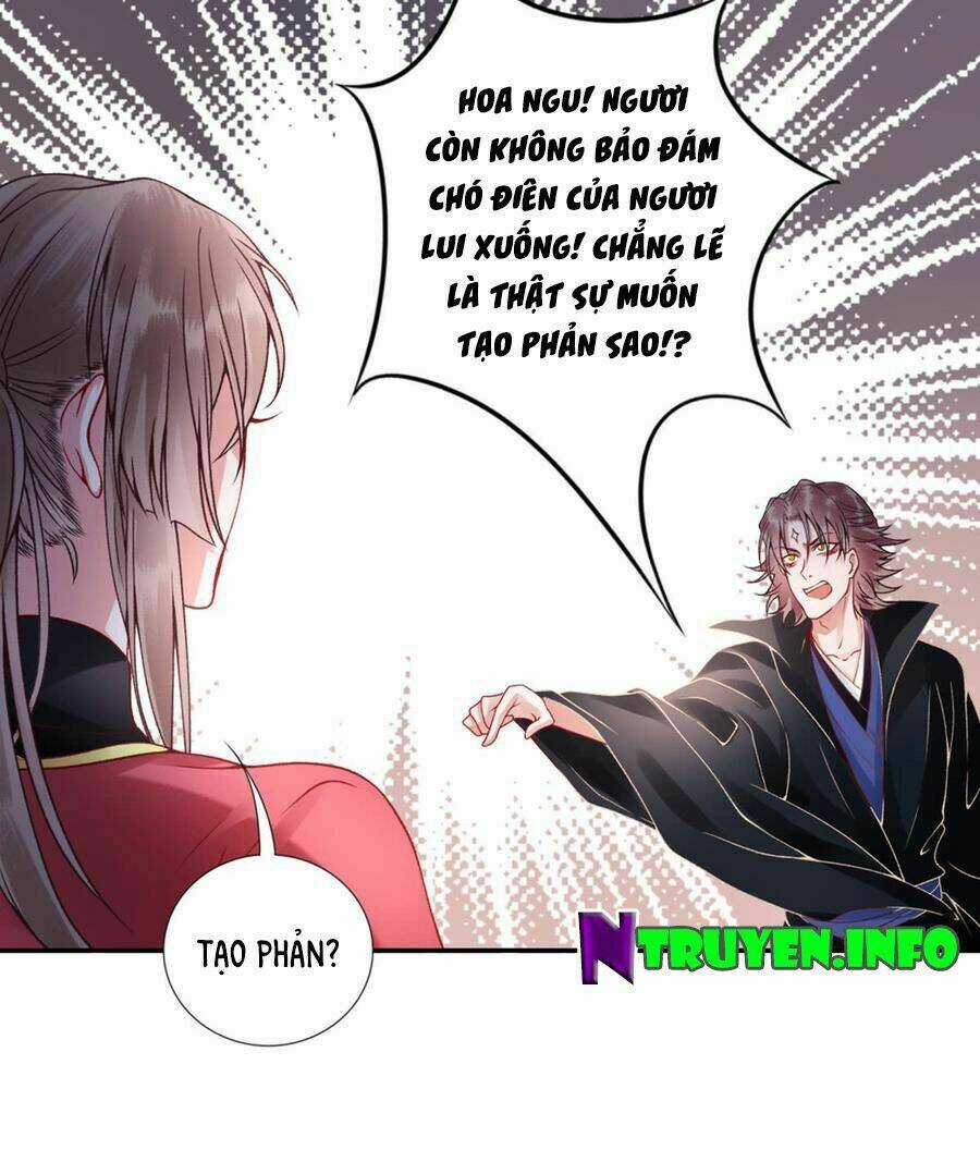 Hoàng Phi 9000 Tuổi - Chapter 54 - Trang 3