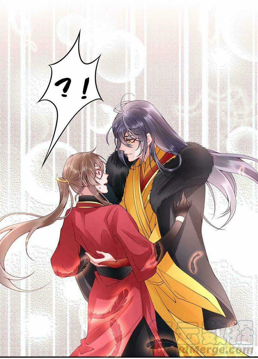 Hoàng Phi 9000 Tuổi - Chapter 55 - Trang 17