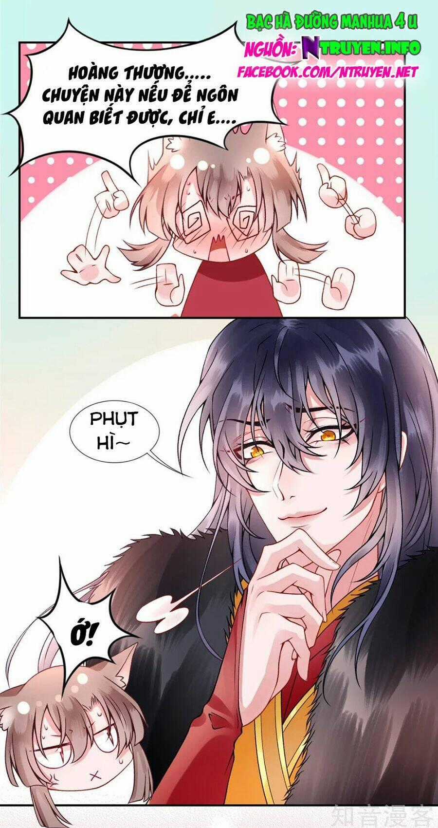 Hoàng Phi 9000 Tuổi - Chapter 56 - Trang 1