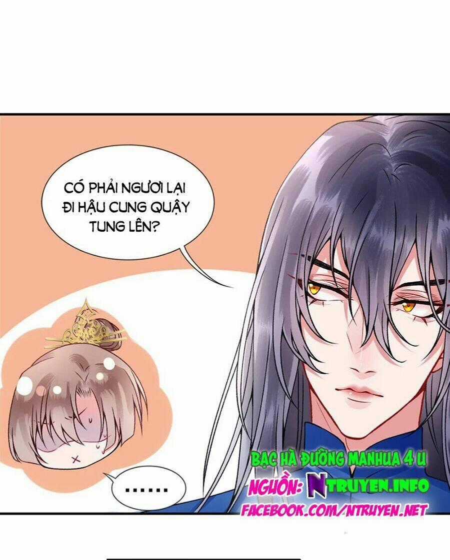 Hoàng Phi 9000 Tuổi - Chapter 57 - Trang 1