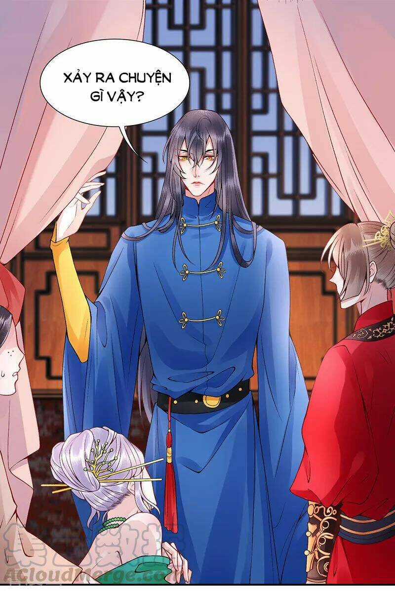 Hoàng Phi 9000 Tuổi - Chapter 58 - Trang 5