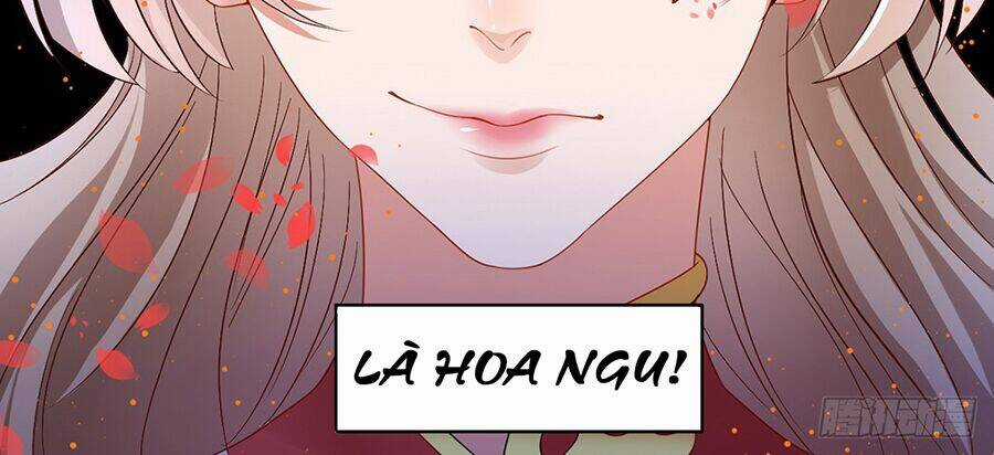 Hoàng Phi 9000 Tuổi - Chapter 6 - Trang 29