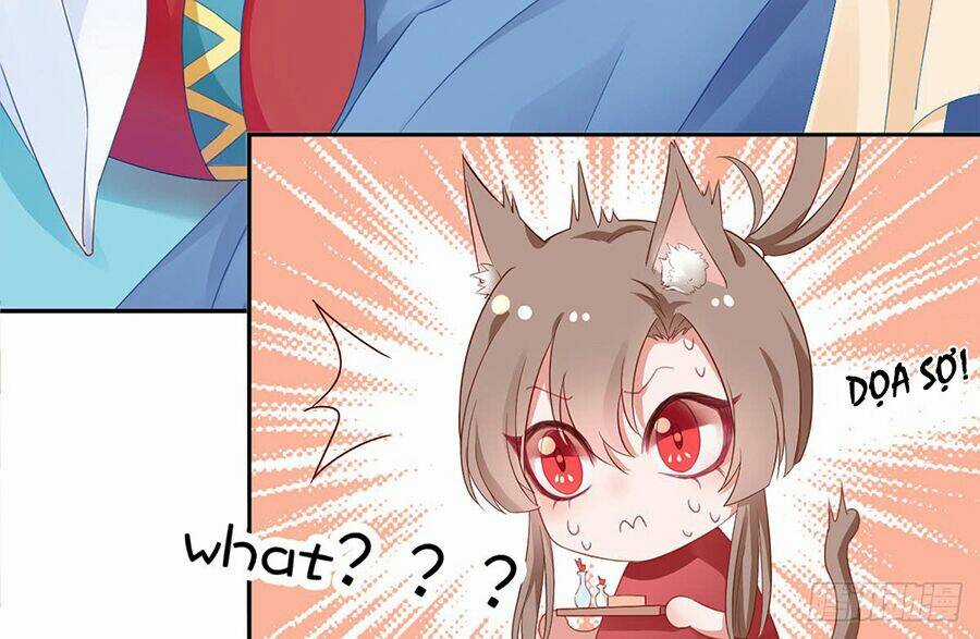 Hoàng Phi 9000 Tuổi - Chapter 6 - Trang 35