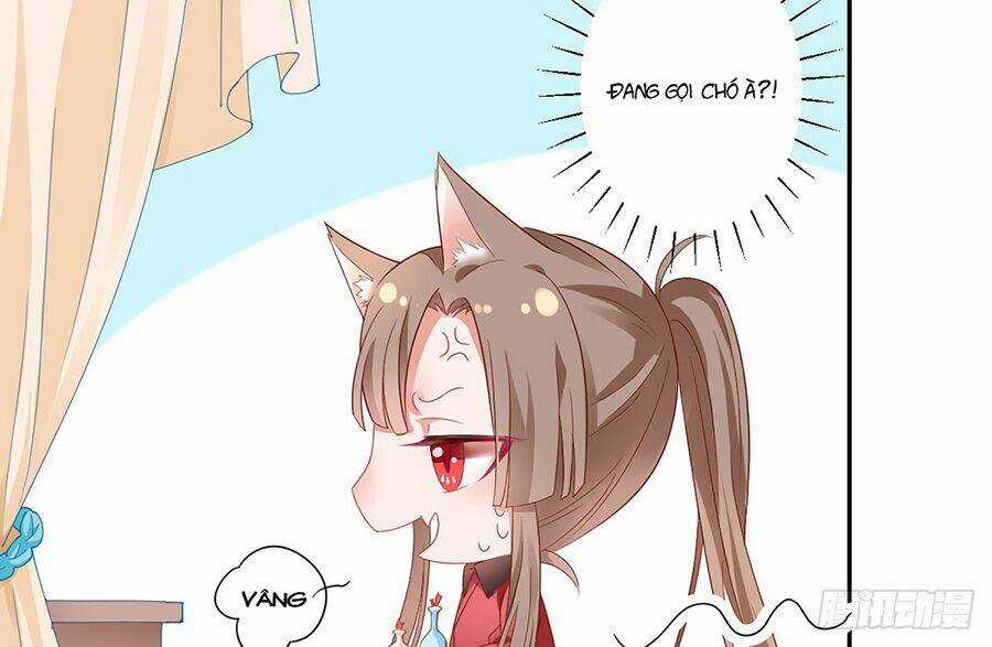 Hoàng Phi 9000 Tuổi - Chapter 6 - Trang 37