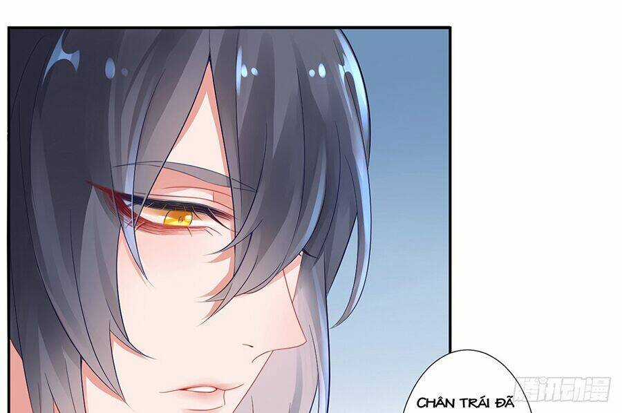 Hoàng Phi 9000 Tuổi - Chapter 6 - Trang 40