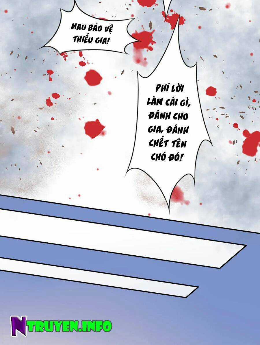 Hoàng Phi 9000 Tuổi - Chapter 61 - Trang 8