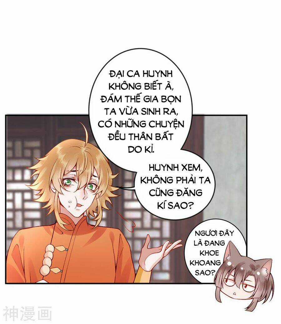 Hoàng Phi 9000 Tuổi - Chapter 65 - Trang 5