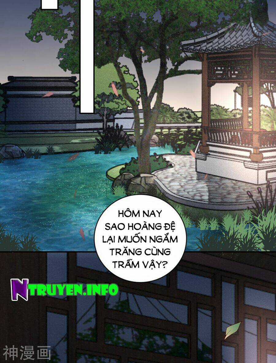 Hoàng Phi 9000 Tuổi - Chapter 66 - Trang 18