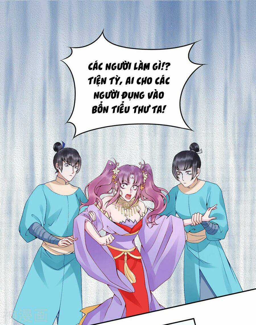 Hoàng Phi 9000 Tuổi - Chapter 66 - Trang 6