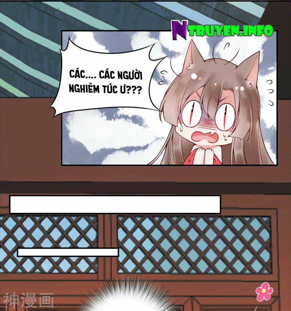 Hoàng Phi 9000 Tuổi - Chapter 67 - Trang 23