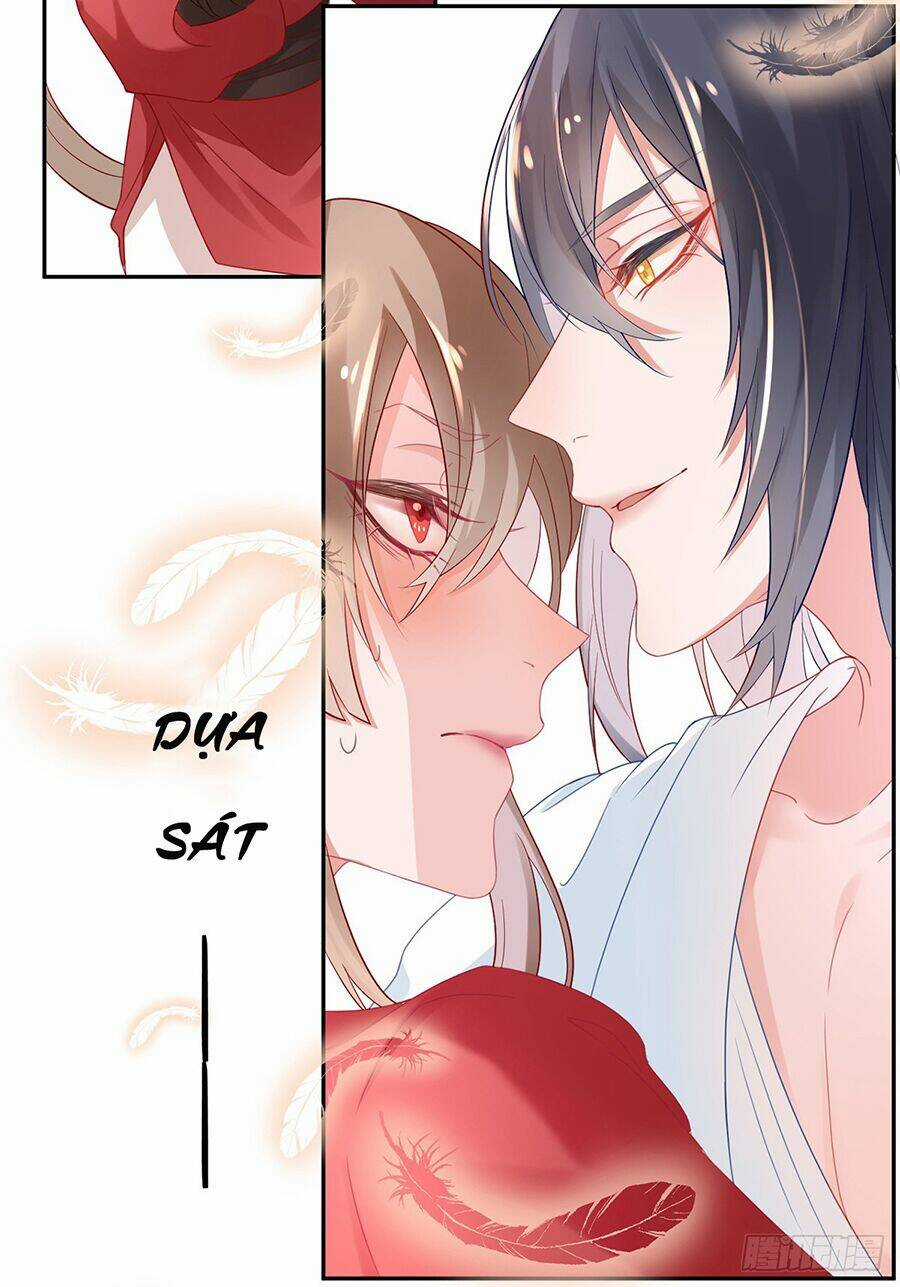 Hoàng Phi 9000 Tuổi - Chapter 7 - Trang 6