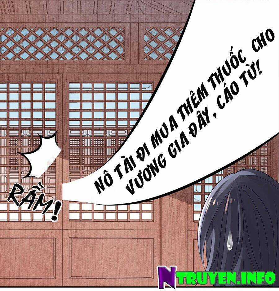 Hoàng Phi 9000 Tuổi - Chapter 7 - Trang 8