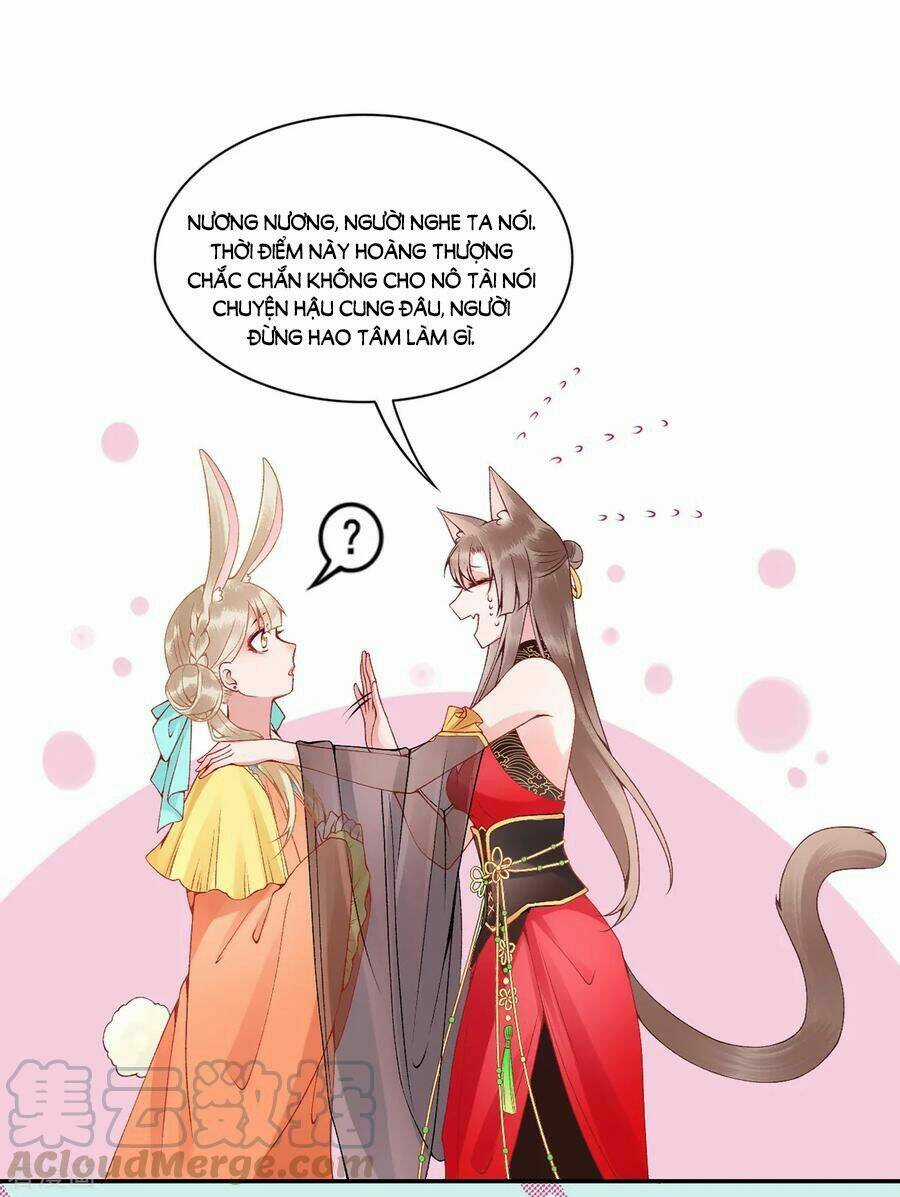 Hoàng Phi 9000 Tuổi - Chapter 73 - Trang 9