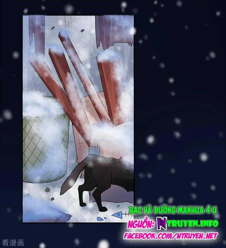 Hoàng Phi 9000 Tuổi - Chapter 76 - Trang 1