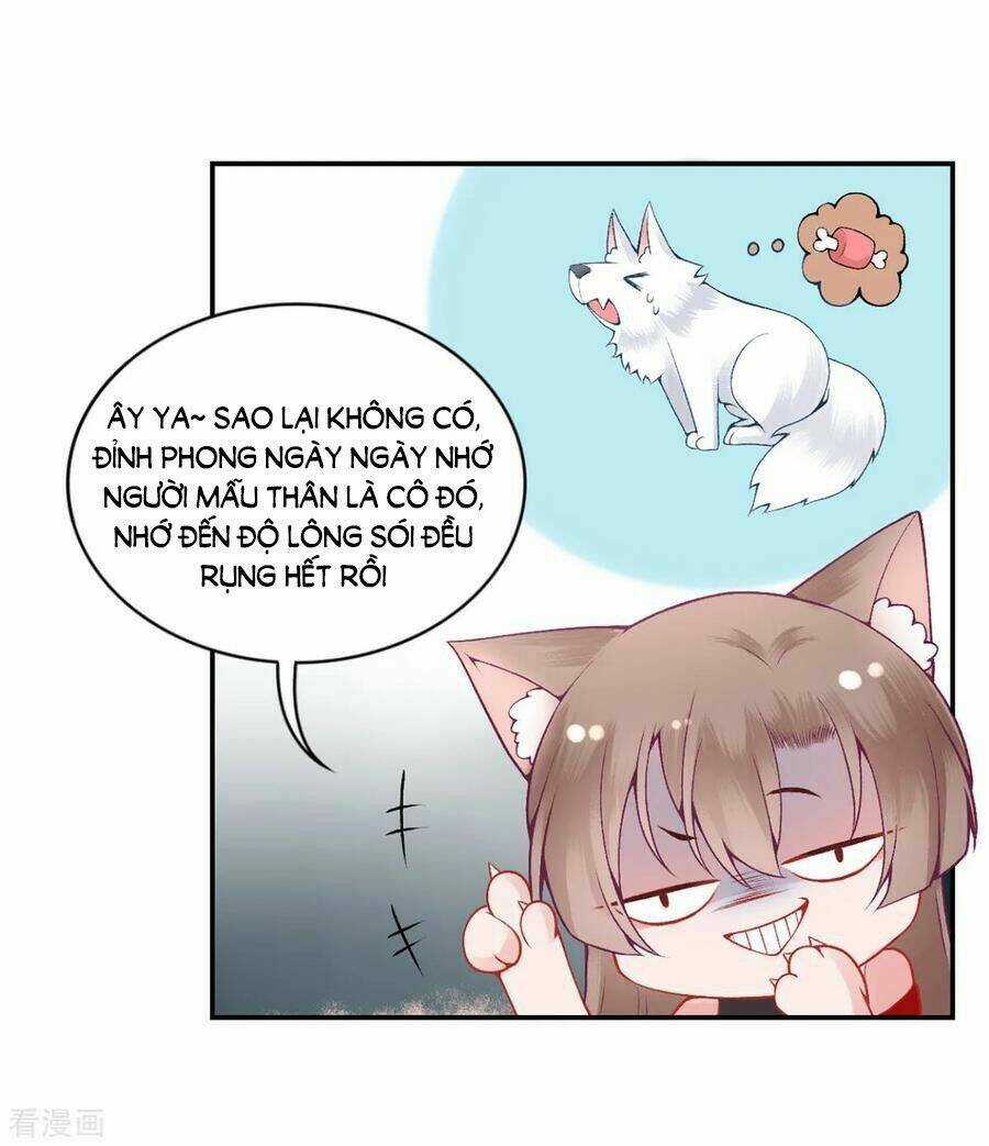 Hoàng Phi 9000 Tuổi - Chapter 82 - Trang 26