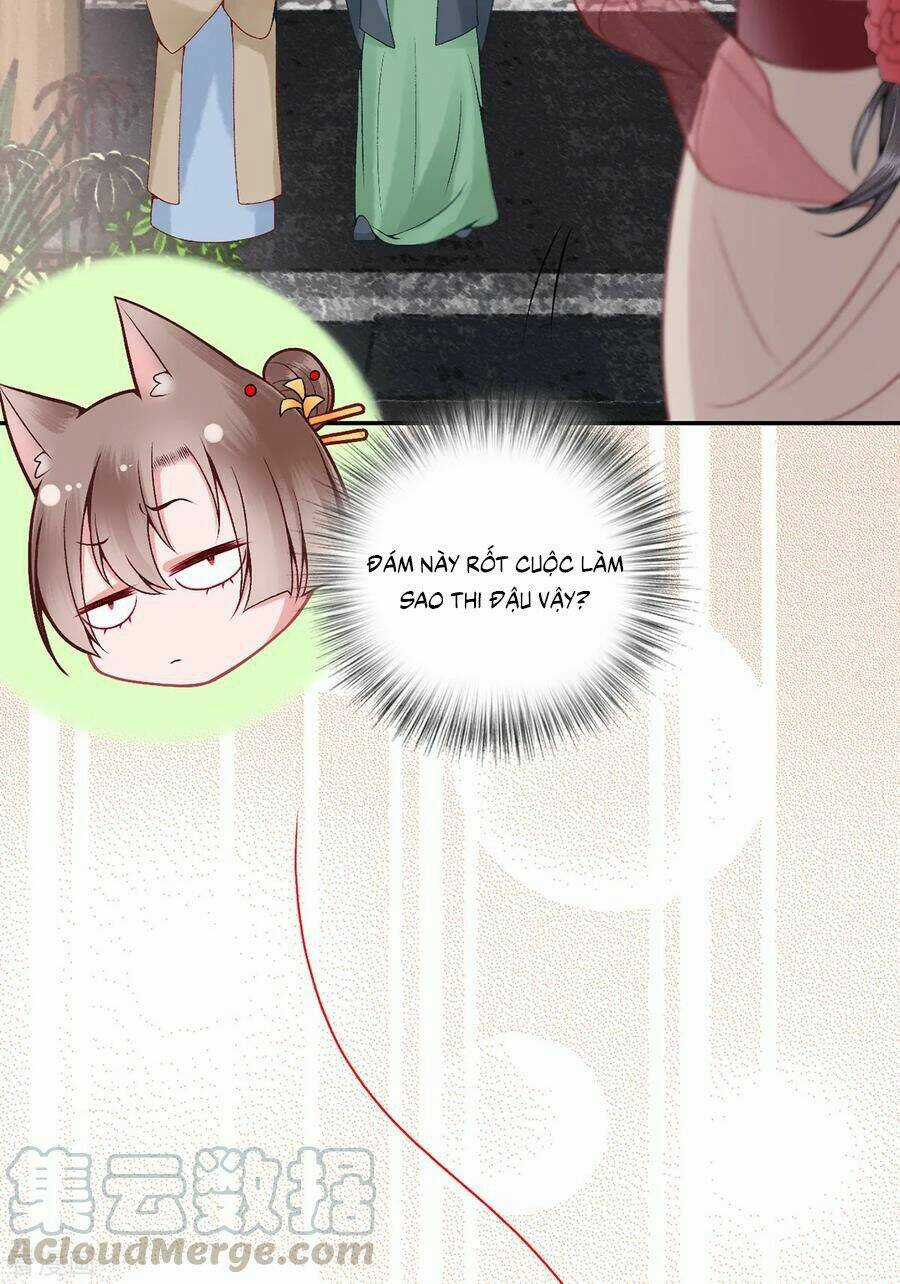 Hoàng Phi 9000 Tuổi - Chapter 83 - Trang 7