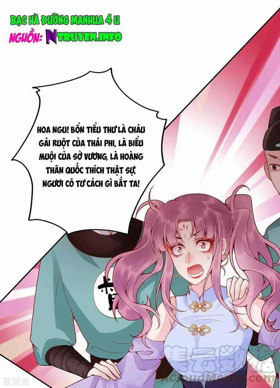 Hoàng Phi 9000 Tuổi - Chapter 84 - Trang 1