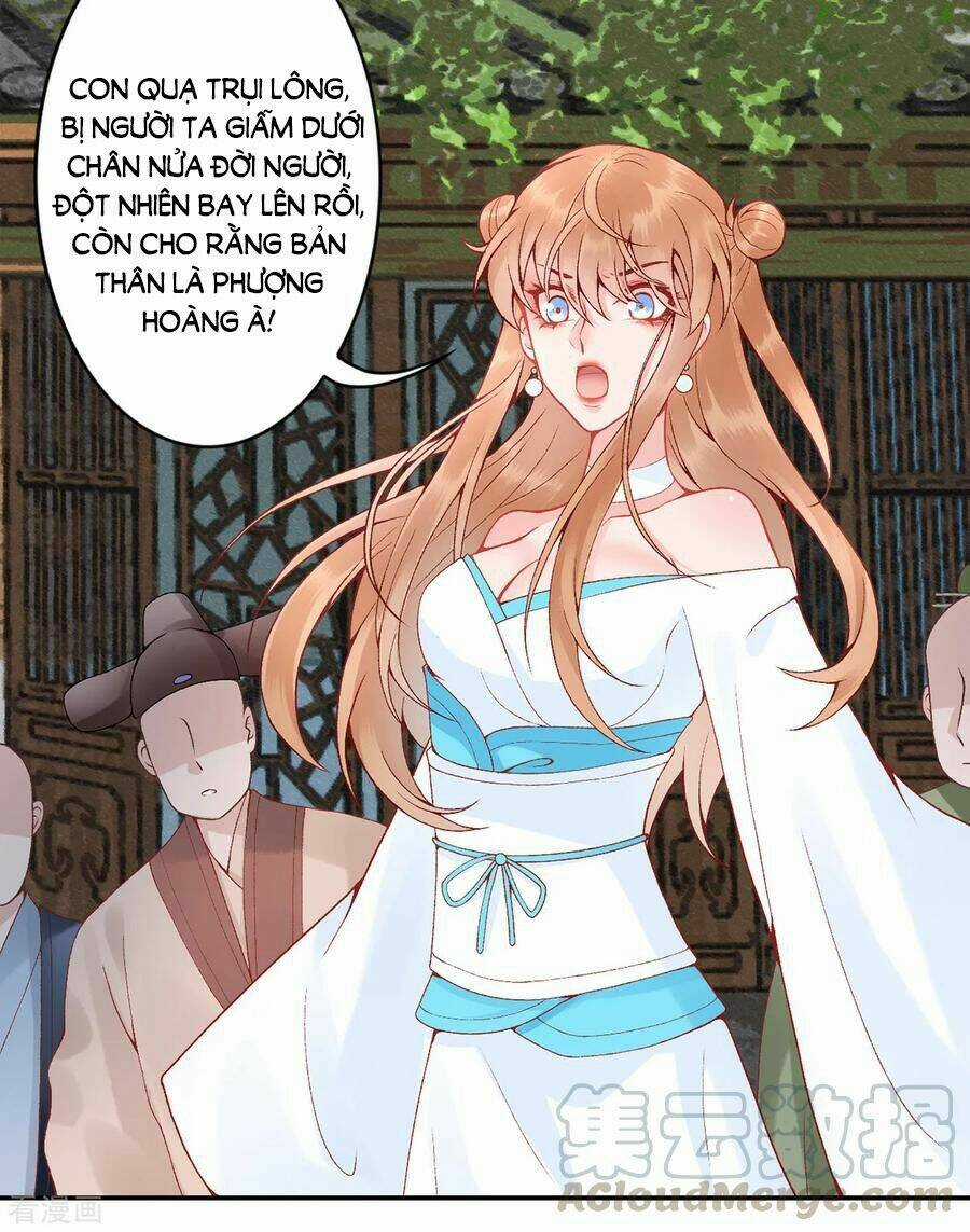 Hoàng Phi 9000 Tuổi - Chapter 84 - Trang 4