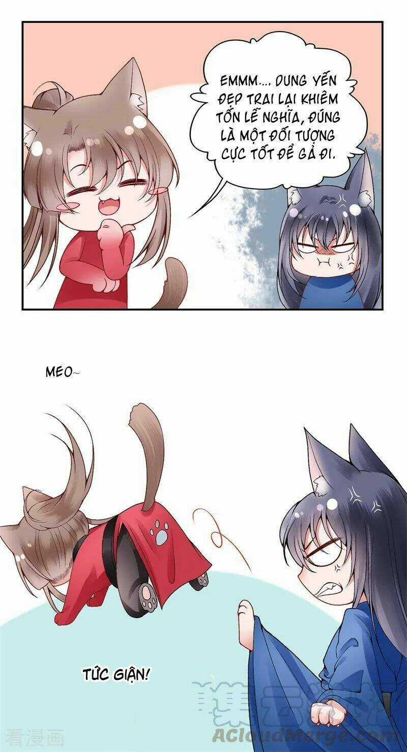 Hoàng Phi 9000 Tuổi - Chapter 87 - Trang 19