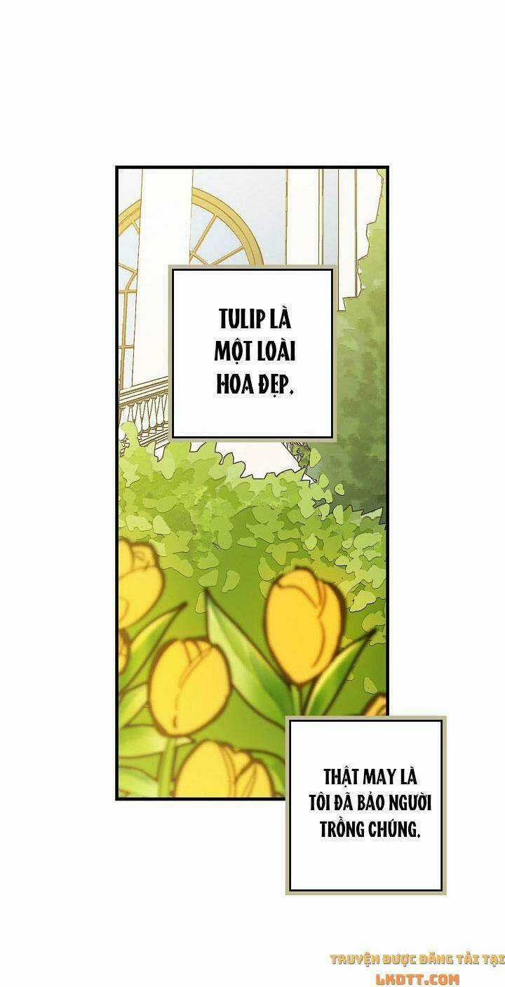 Hoàng Phi Bóng Tối - Chapter 21 - Trang 46