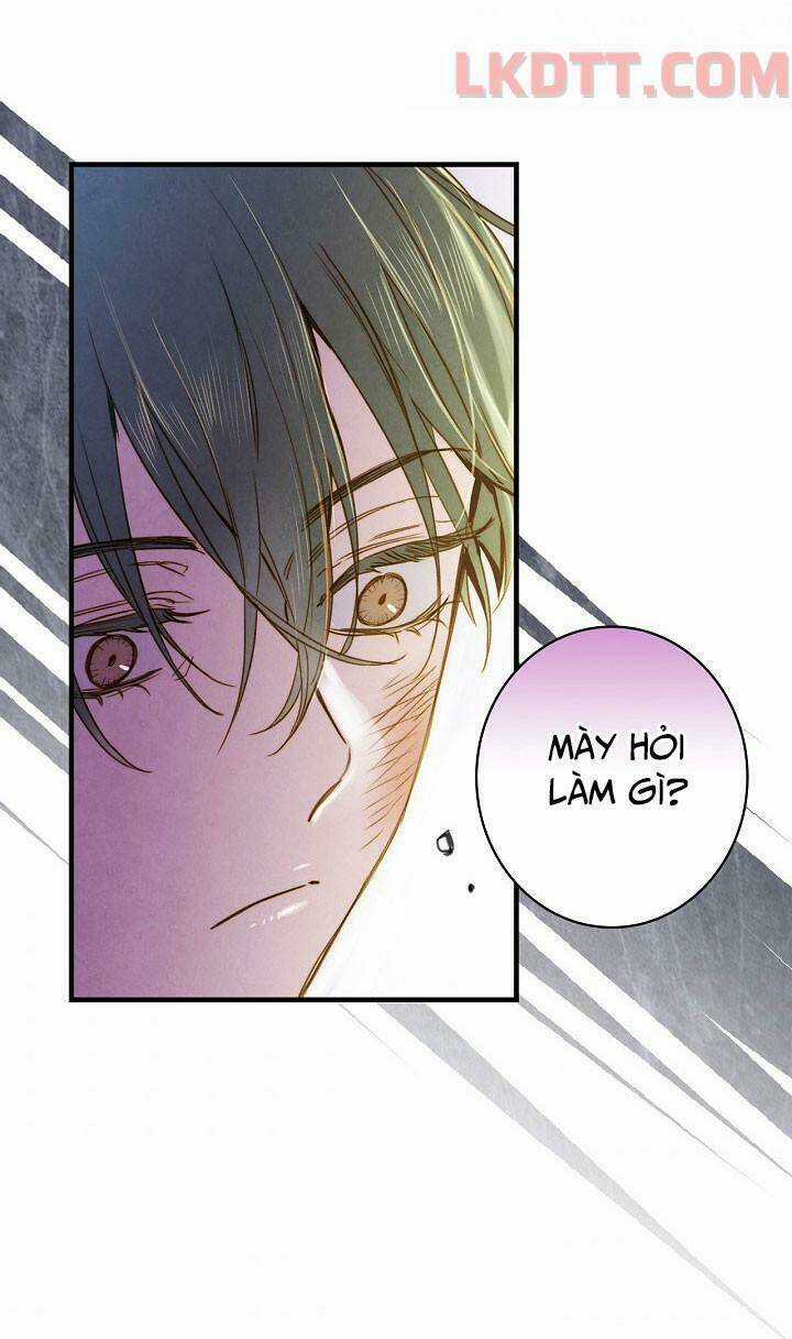 Hoàng Phi Bóng Tối - Chapter 23 - Trang 43
