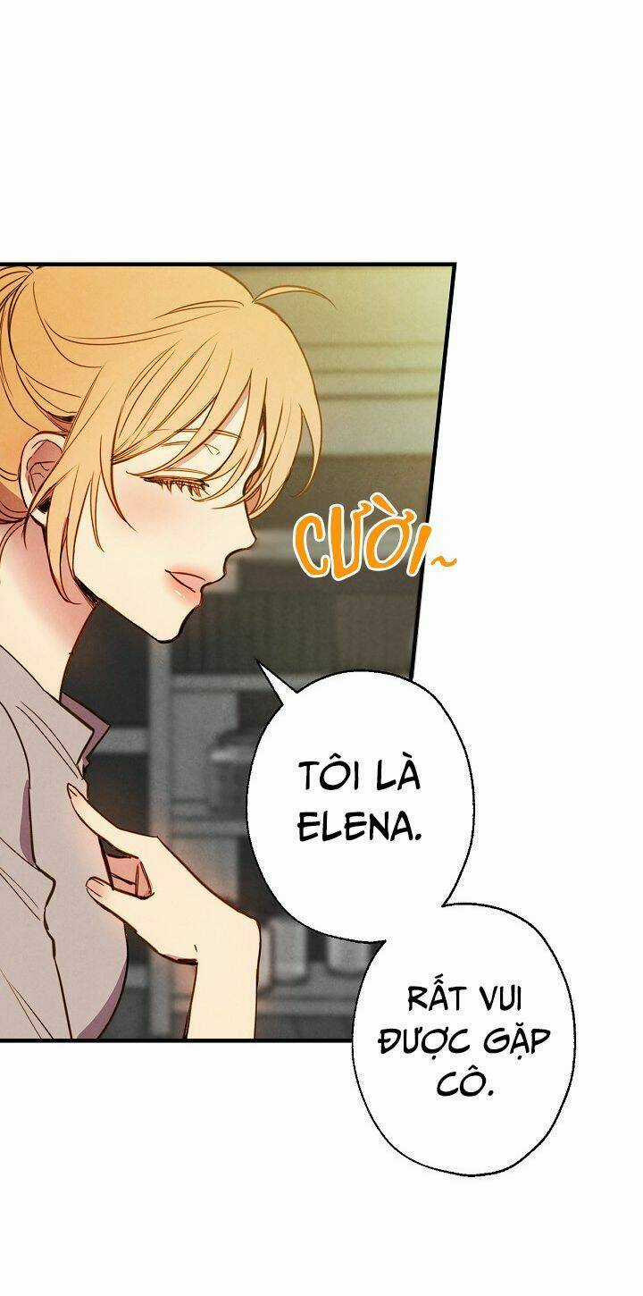 Hoàng Phi Bóng Tối - Chapter 6 - Trang 8