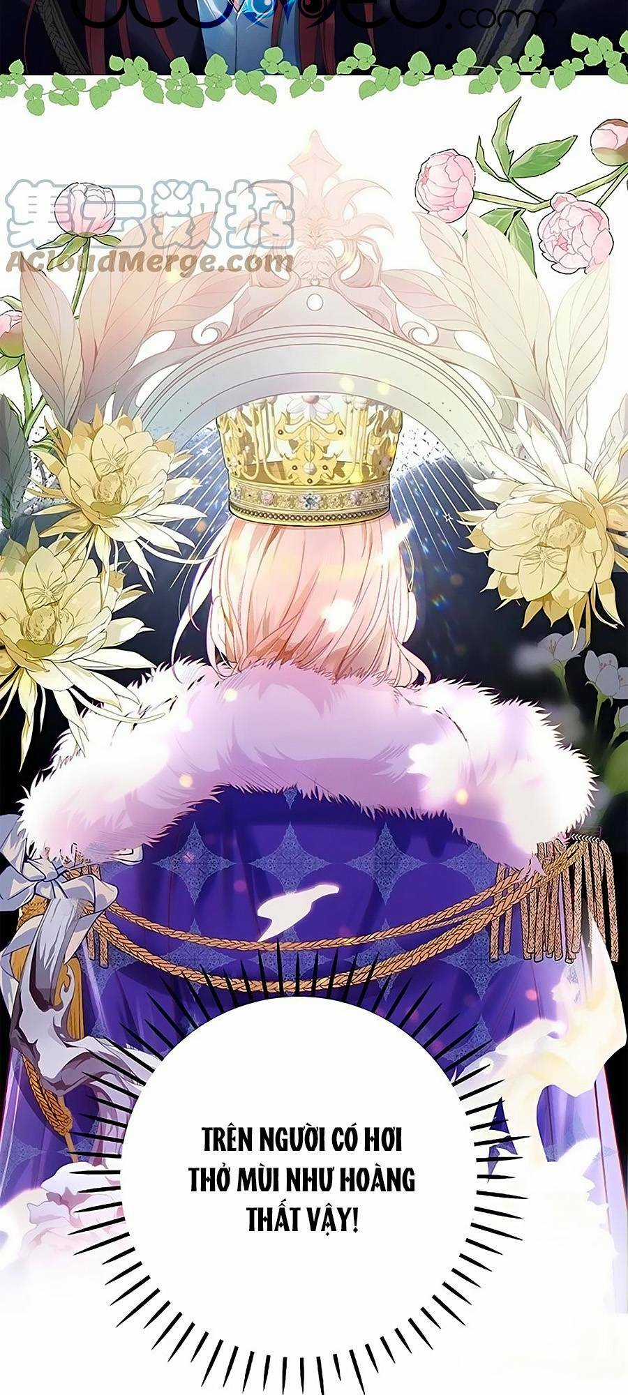 Hoàng Phi Đế Quốc Làm Không Dễ - Chapter 13 - Trang 3