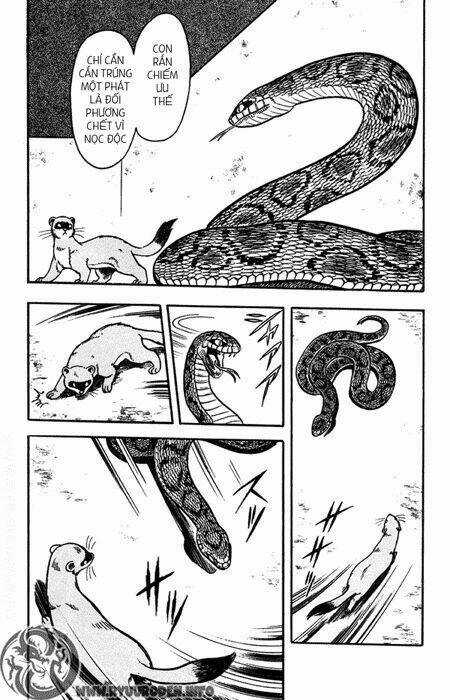 Hoàng Phi Hồng Phần 1 - Chapter 9 - Trang 20