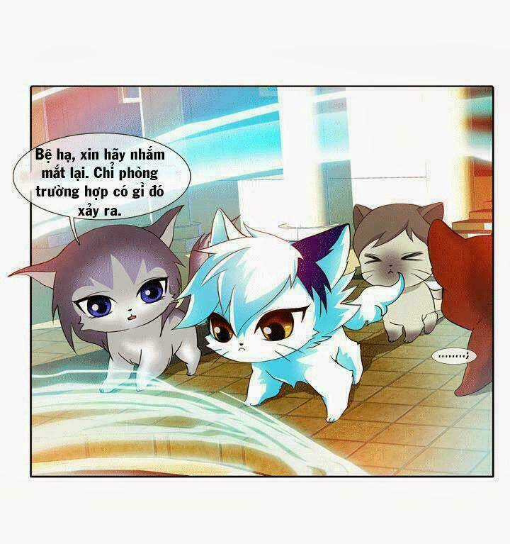 Hoàng Tử Mèo Đáng Ghét - Chapter 1 - Trang 5