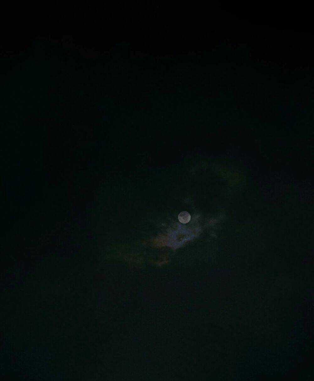 Hoạt Hải - Chapter 1 - Trang 1