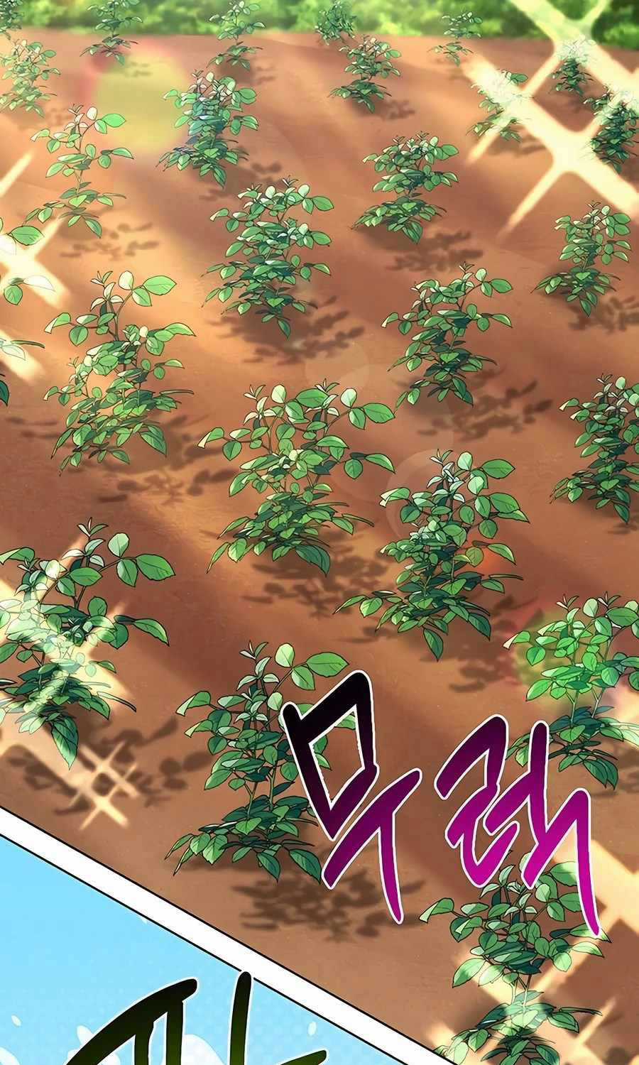 Học Viện Phá Sản - Chapter 12 - Trang 33