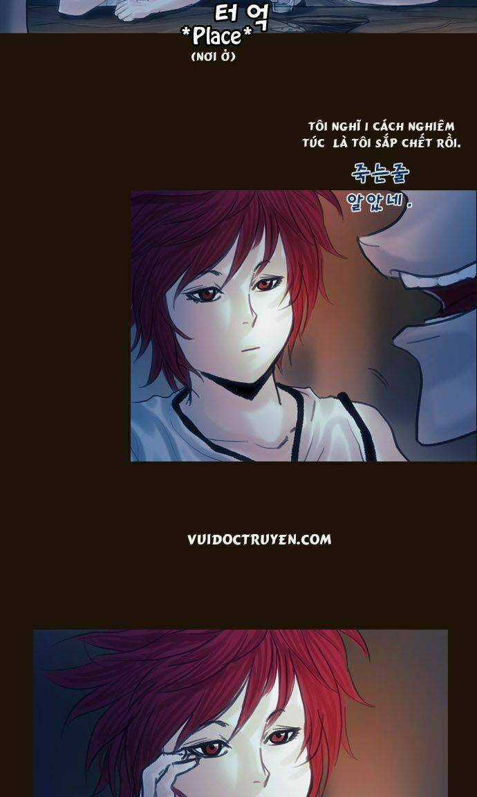 Hội ảo thuật - Chapter 106 - Trang 21