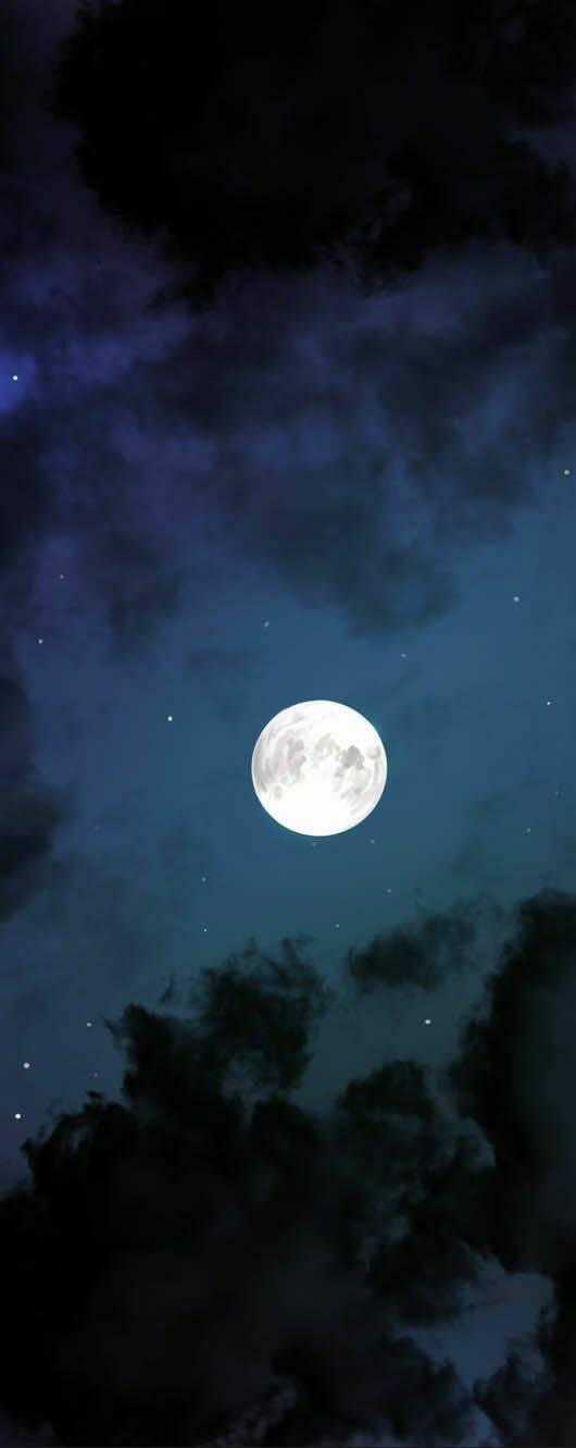 Hội ảo thuật - Chapter 19 - Trang 1