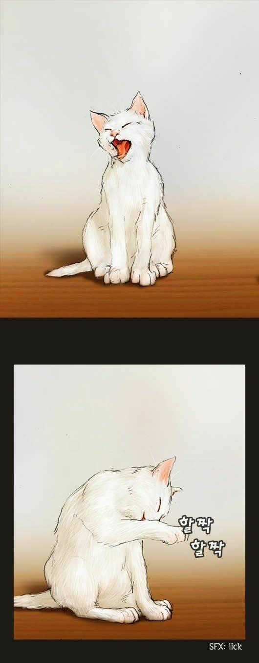 Hội ảo thuật - Chapter 20 - Trang 1