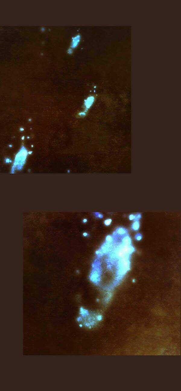 Hội ảo thuật - Chapter 52 - Trang 15