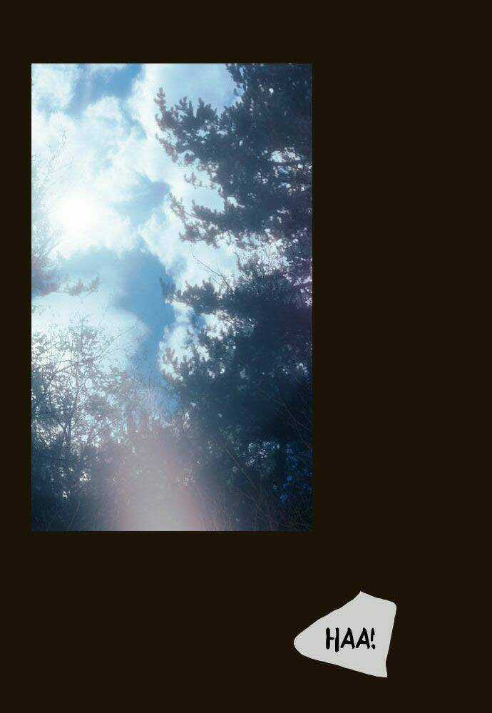 Hội ảo thuật - Chapter 66 - Trang 17