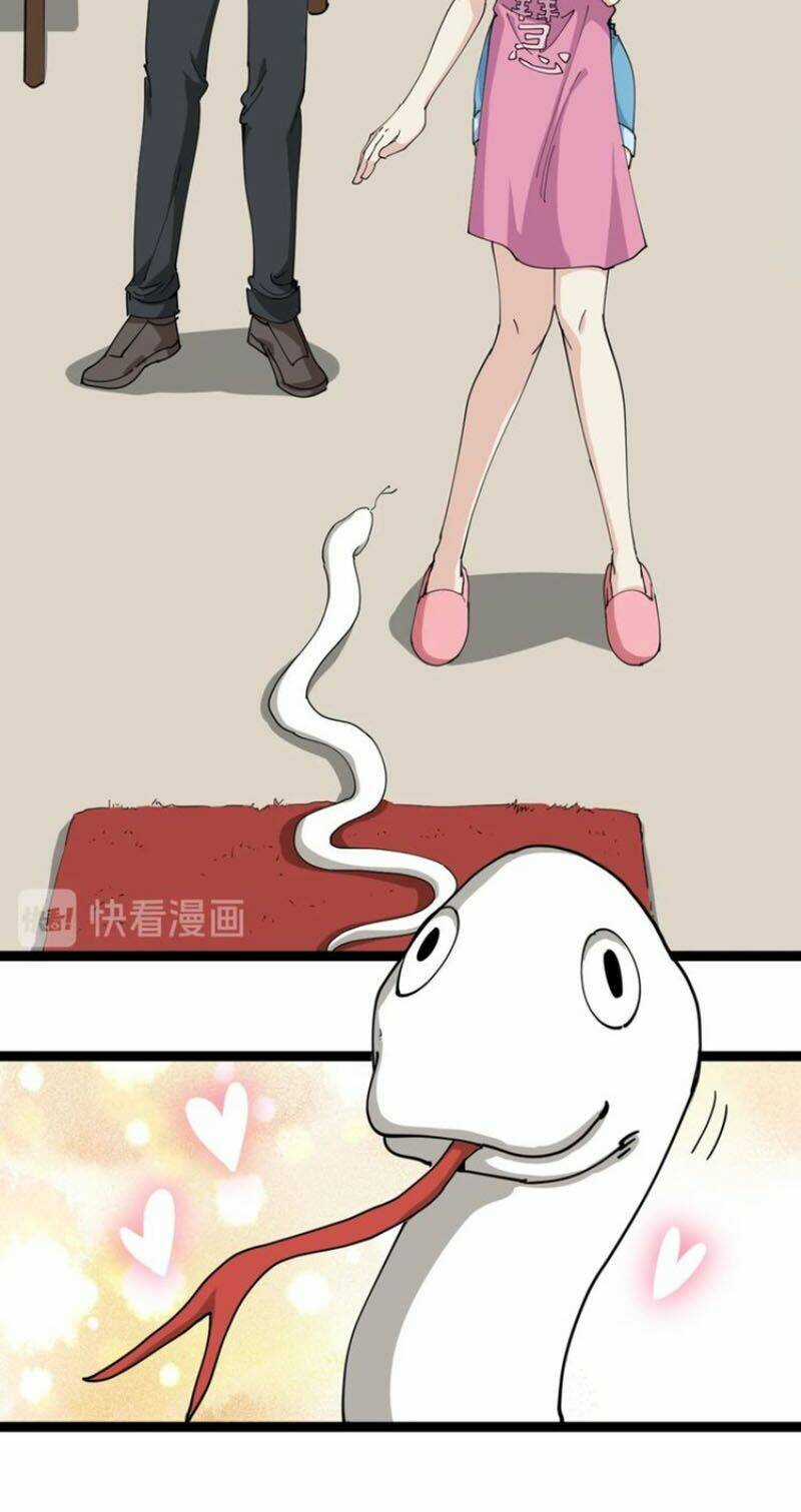 Hồi Xuân Tiểu Độc Y - Chapter 23 - Trang 17