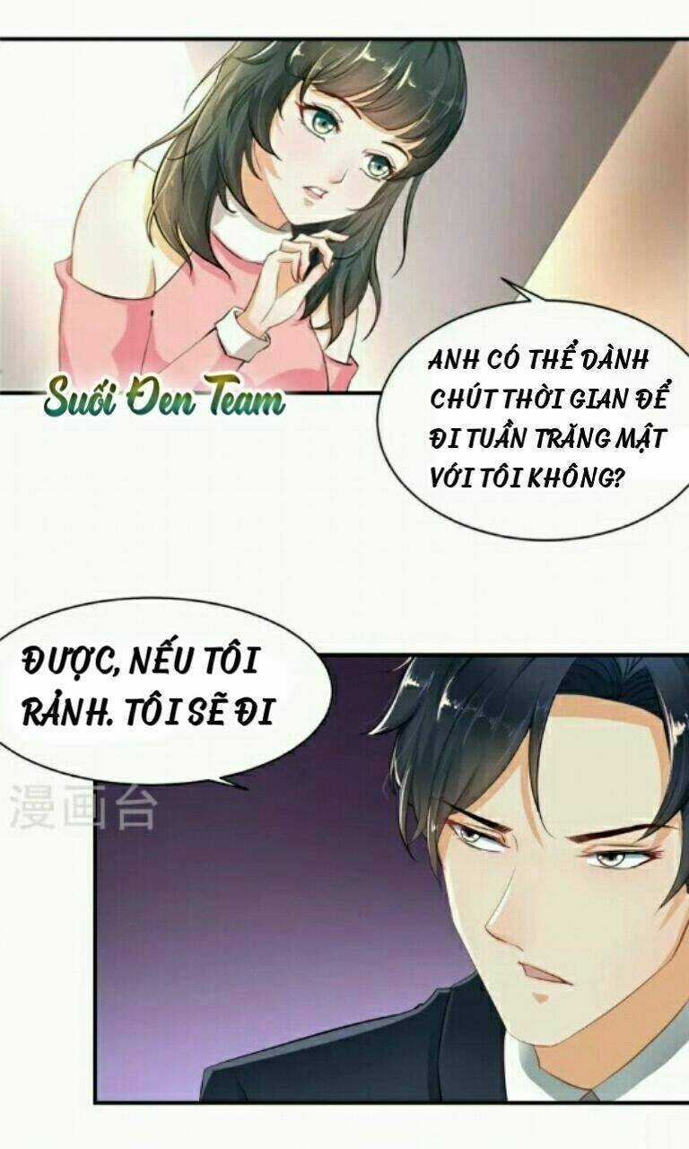 Hôn Ái Thành Ẩn - Chapter 1 - Trang 13